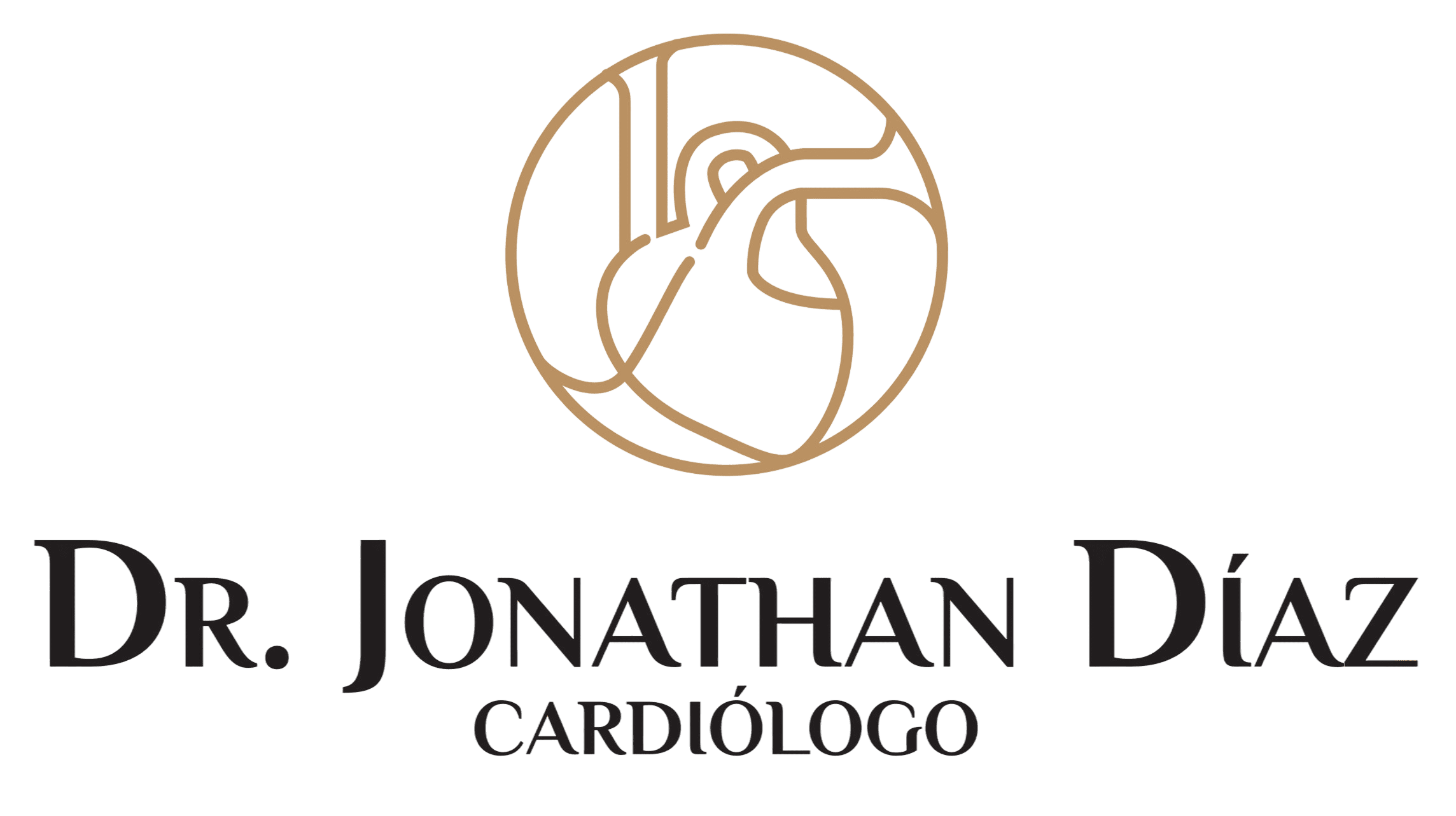 Cardiología en
                Saltillo - Dr Jonathan Iván Díaz Limas